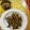 ダウリ's cooksnap of when they made カタクチイワシのムニエル.
