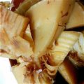 チなつ's cooksnap of when they made 土佐若竹煮♣.