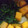 ふぅこ１１１１'s cooksnap of when they made 簡単お弁当用煮浸し.