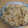 サーフブレイド's cooksnap of when they made あさりの炊き込みご飯.