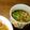 みかぽん♪♪'s cooksnap of when they made 残った餃子でスープ餃子♪.