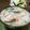 シュナティー's cooksnap of when they made 大皿でどーん♪中華風茶わん蒸し.