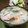シュナティー's cooksnap of when they made 大皿でどーん♪中華風茶わん蒸し.