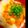 yuk1r1n's cooksnap of when they made 簡単・ヘルシー♪鶏チリどんぶり.