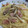 ひよみみ's cooksnap of when they made 簡単！めんつゆで和風パスタ.