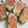 koutamama☆'s cooksnap of when they made ピーマンの肉詰め（☆▽☆）.