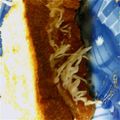 ナナ☆ナナ's cooksnap of when they made 食パンでお好み焼きみたいなサンドイッチ.