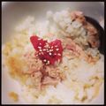 ふにゃたか's cooksnap of when they made 梅とツナと冷やご飯。.