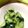 foglia5655's cooksnap of when they made うっまーい毎日きゅうり.