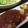 KAHo327's cooksnap of when they made ふわっとジューシー♪えのきハンバーグ.