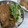 uri2215's cooksnap of when they made 娘が好きな♬さんまの蒲焼丼♬.