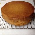 ペーペーペー's cooksnap of when they made 基本のスポンジケーキ.