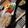 いけにゃ。's cooksnap of when they made 黄身トロトロ！半熟煮玉子.