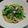 noemimama's cooksnap of when they made 小松菜のクリームパスタ.