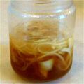 SW_チーフ's cooksnap of when they made たまねぎドレッシング.