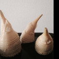 maumamma's cooksnap of when they made 簡単！筍の茹で方.