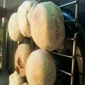 わかもぐ's cooksnap of when they made さくふわ☆スコーン.