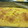 Meg_mi's cooksnap of when they made 卵油分不使用☆まるごとみかんマフィン.