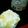 ともみ●∀●'s cooksnap of when they made 大さじだけでポンデケージョ風.