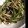 わすれぽ's cooksnap of when they made 安い！早い！ウマイ！塩こぶ炒め◎.