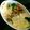 けみっくま's cooksnap of when they made 鮭とブロッコリーのチーズ焼き.