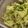 masu1004's cooksnap of when they made キャベツのにら味噌あえ.