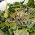 しょこぴょんまま's cooksnap of when they made 九条ネギと水菜とじゃこのサラダ.