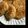 。。みったん。。's cooksnap of when they made もやしつくね.