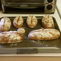 ぱいらま's cooksnap of when they made グランベリーとレーズンとクルミのパン.