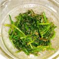 ☆藤茶☆'s cooksnap of when they made 我が家のほうれん草★胡麻和え.