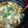 みけねこやよい's cooksnap of when they made 分からん鍋　味噌ベース.