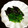 kebeibiko's cooksnap of when they made ★夏野菜の揚げ浸し★.