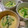 わたるんママ's cooksnap of when they made お手軽簡単 茶碗蒸し.