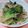 いしまいﾁｬﾝ's cooksnap of when they made チンゲン菜と豚の醤油炒め.