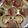 momo1020's cooksnap of when they made ◈餃子のピザ◈ #旨み塩レシぴ.