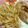 ぴろめにゅー's cooksnap of when they made 簡単すぎ!!えのきバター☆.