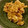 てるどん's cooksnap of when they made 甘くってウマ☆さつまいもの胡桃和え☆.