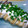 ぽんぷー's cooksnap of when they made いかの照り焼き、マヨソース添え.