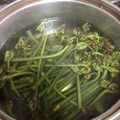 こうぶんママ's cooksnap of when they made ☆わらび☆のあく抜き（重曹）の覚書.