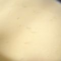 ４番目's cooksnap of when they made 豆乳コーンスープ★シチューのようなとろみ.