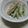 ｈｙｔｙ's cooksnap of when they made スナップえんどうの胡麻マヨ和え.