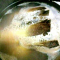 ハナりんご☆ミ's cooksnap of when they made たけのこ♥あく抜きと保存.