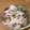 いまりやき's cooksnap of when they made きのこの塩糀漬け.