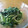 田舎のとんさん's cooksnap of when they made ほうれん草のゴママヨ和え.
