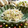 えみんちゅ＊'s cooksnap of when they made ささみとザーサイの和え物.