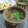 イベ長's cooksnap of when they made 生椎茸とわかめの味噌汁.