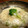 真さん's cooksnap of when they made 青菜の淡雪仕立て.