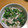 misakkki's cooksnap of when they made 菜の花とササミのからしマヨ和え♥サラダ風.