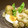 れな犬's cooksnap of when they made 茹で野菜の木の芽和えサラダ.