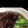 kazupipi's cooksnap of when they made 旬の生海苔　酢の物.